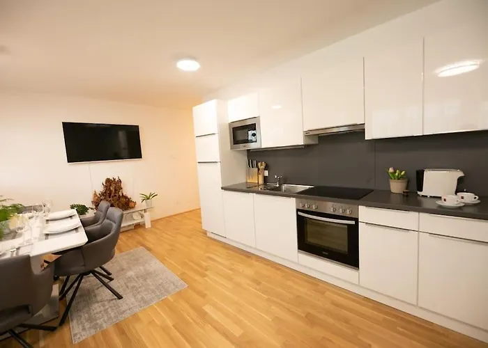Schoenes Living Am Donauufer Appartement